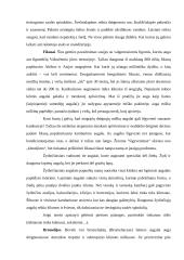 Gėlių įvairovė 5 puslapis