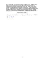 Moteriško sijono apdorojimo siūlės 8 puslapis