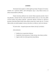 Geoterminis šildymas 2 puslapis