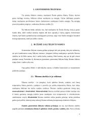 Geoterminis šildymas 3 puslapis