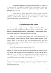 Geoterminis šildymas 6 puslapis