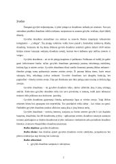 Gyvybės draudimo verslo plėtros prielaidos, analizė ir perspektyvos 2 puslapis
