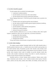 Gyvybės draudimo verslo plėtros prielaidos, analizė ir perspektyvos 5 puslapis