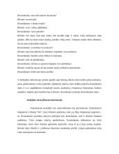 Konsultavimo atvejo analizės aprašymo schema 3 puslapis