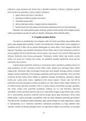 Grupinis darbas ir jo taikymo būtinumas 10 puslapis