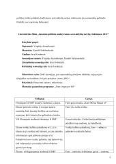 Rezisūrinis ir literatūrinis scenarijai: "Jaunimo politinis neaktyvumas savivaldybių tarybų rinkimuose 2011" 2 puslapis