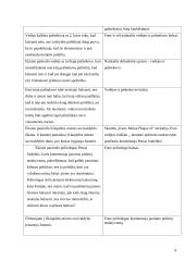 Rezisūrinis ir literatūrinis scenarijai: "Jaunimo politinis neaktyvumas savivaldybių tarybų rinkimuose 2011" 3 puslapis