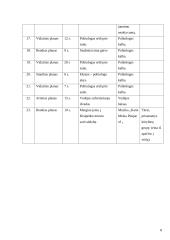 Rezisūrinis ir literatūrinis scenarijai: "Jaunimo politinis neaktyvumas savivaldybių tarybų rinkimuose 2011" 7 puslapis