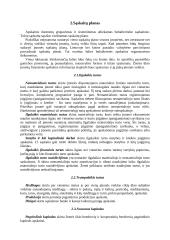 Gamybinė praktika: pieno perdirbimo cechas "Bariūnų žemės ūkio bendrovė" 6 puslapis