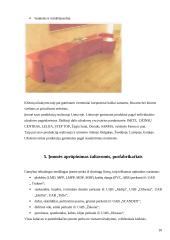 Gamybinės praktikos ataskaita: kietų baldų gamyba AB "Idėjų parkas" 10 puslapis