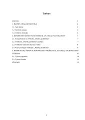 Praktikos ataskaita viešbutyje: "Platelių jachtklubas" 2 puslapis