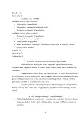 Praktikos ataskaita viešbutyje: "Platelių jachtklubas" 8 puslapis