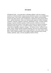 Henriko Radausko eilėraščių pasaulis 13 puslapis