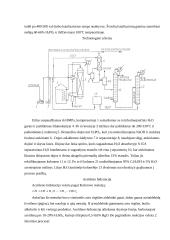 Hidrolizė 7 puslapis