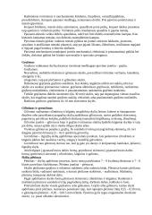 Technologinės praktikos ataskaita: šaltkalvystė 4 puslapis