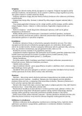 Technologinės praktikos ataskaita: šaltkalvystė 5 puslapis