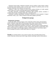 Technologinės praktikos ataskaita: šaltkalvystė 8 puslapis