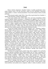 Holokaustas 4 puslapis