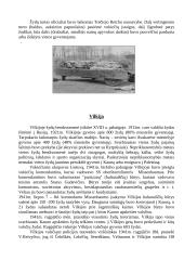 Holokaustas 7 puslapis