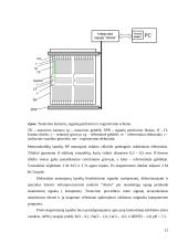 Humusinės medžiagos 12 puslapis