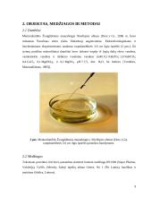 Humusinės medžiagos 9 puslapis