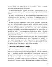 ICC pasaulyje ir Lietuvoje 4 puslapis