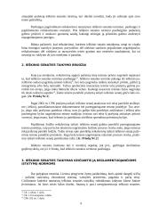 Ieškinio senaties taikymo ypatumai 8 puslapis