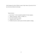 Ignalinos atominės elektrinės pirmojo bloko uždarymo problemos 12 puslapis