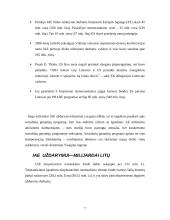 Ignalinos atominės elektrinės pirmojo bloko uždarymo problemos 7 puslapis