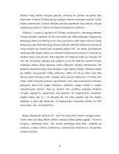 Ignalinos atominės elektrinės pirmojo bloko uždarymo problemos 9 puslapis