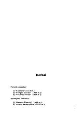 Ignas Šeinius 12 puslapis