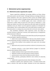 Ikiteisminio tyrimo planavimas ir organizavimas 12 puslapis