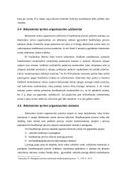 Ikiteisminio tyrimo planavimas ir organizavimas 18 puslapis