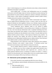 Ikiteisminio tyrimo planavimas ir organizavimas 19 puslapis