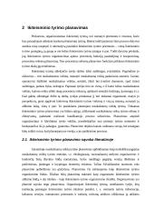 Ikiteisminio tyrimo planavimas ir organizavimas 7 puslapis