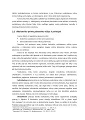 Ikiteisminio tyrimo planavimas ir organizavimas 8 puslapis