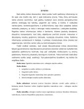 Ilgalaikio materialaus turto – nebaigtos statybos auditas 2 puslapis