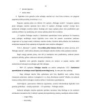 Ilgalaikio materialaus turto – nebaigtos statybos auditas 12 puslapis