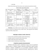Ilgalaikio materialaus turto – nebaigtos statybos auditas 13 puslapis
