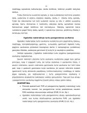 Ilgalaikio materialaus turto – nebaigtos statybos auditas 14 puslapis