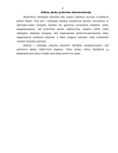 Ilgalaikio materialaus turto – nebaigtos statybos auditas 15 puslapis