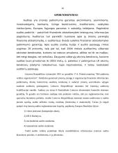 Ilgalaikio materialaus turto – nebaigtos statybos auditas 16 puslapis