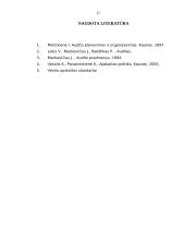 Ilgalaikio materialaus turto – nebaigtos statybos auditas 17 puslapis