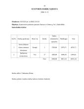 Ilgalaikio materialaus turto – nebaigtos statybos auditas 19 puslapis