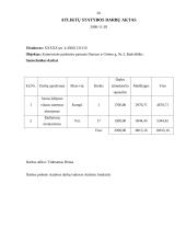 Ilgalaikio materialaus turto – nebaigtos statybos auditas 20 puslapis