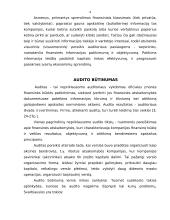 Ilgalaikio materialaus turto – nebaigtos statybos auditas 4 puslapis