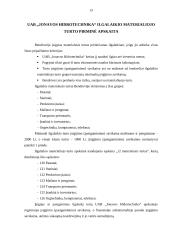 Ilgalaikio materialiojo turto apskaita: UAB "Jonavos hidrotechnika" 12 puslapis