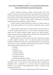 Ilgalaikio materialiojo turto apskaita: UAB "Jonavos hidrotechnika" 17 puslapis