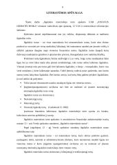 Ilgalaikio materialiojo turto apskaita: UAB "Jonavos hidrotechnika" 5 puslapis