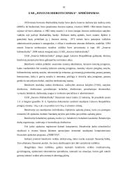 Ilgalaikio materialiojo turto apskaita: UAB "Jonavos hidrotechnika" 9 puslapis